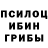 Псилоцибиновые грибы GOLDEN TEACHER Marty Baker