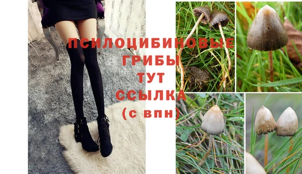 герыч Нея
