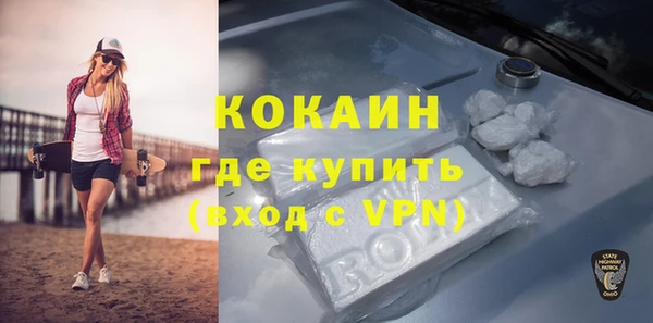 прущие грибы Железноводск