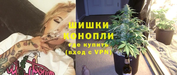 прущие грибы Железноводск