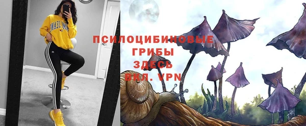 ешки Нефтекумск
