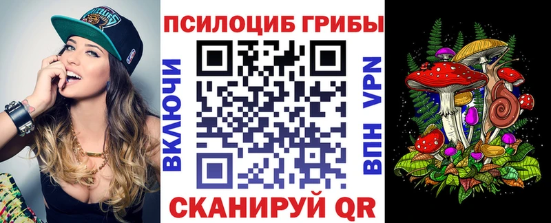 Псилоцибиновые грибы GOLDEN TEACHER  Купить где  Егорьевск 